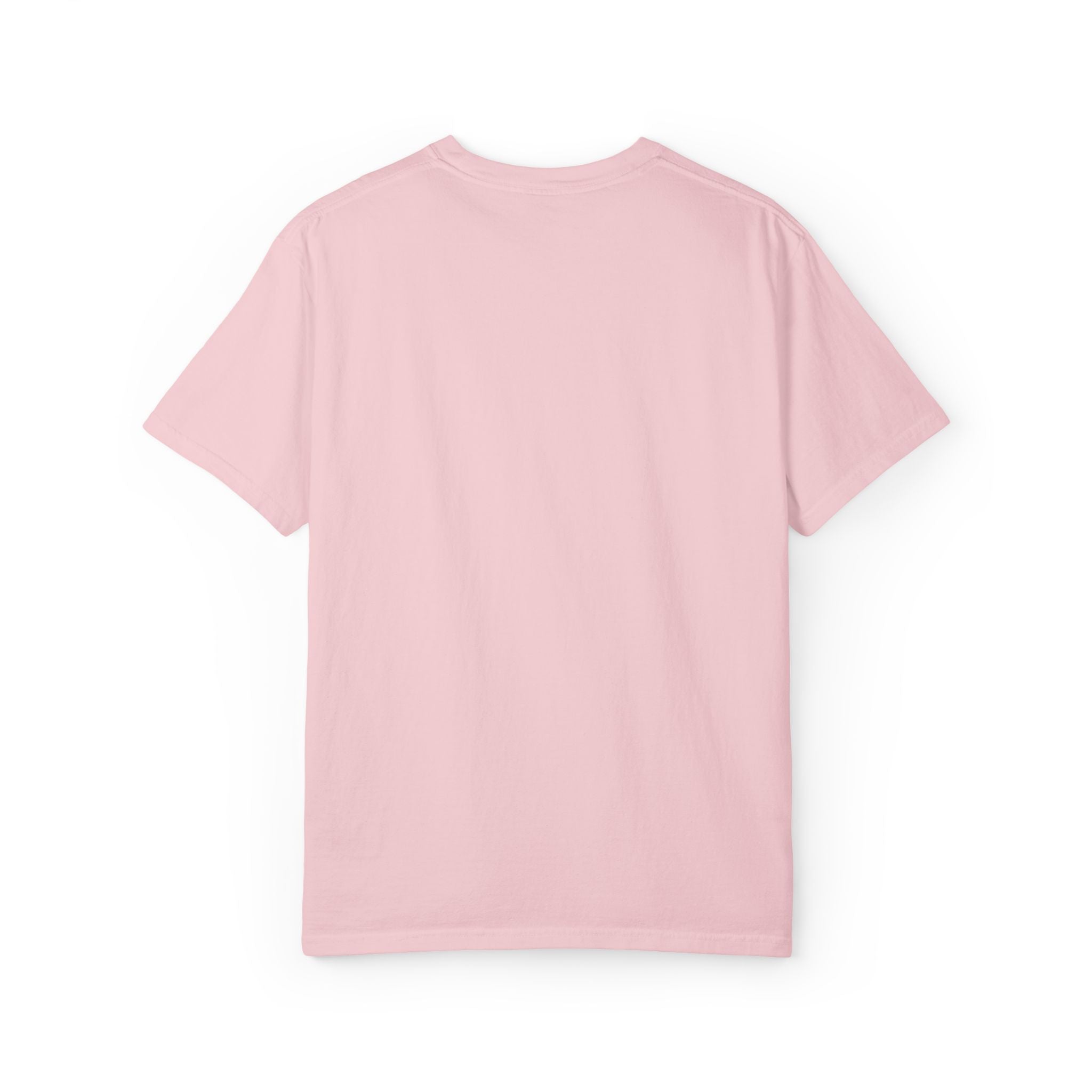 “no thanks, i’m full.” Funny Embroidered T-Shirt